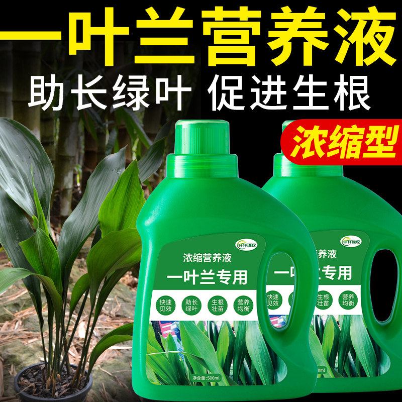 一叶兰专用肥料浓缩营养液复合肥室内大叶盆栽绿植观叶植物花肥