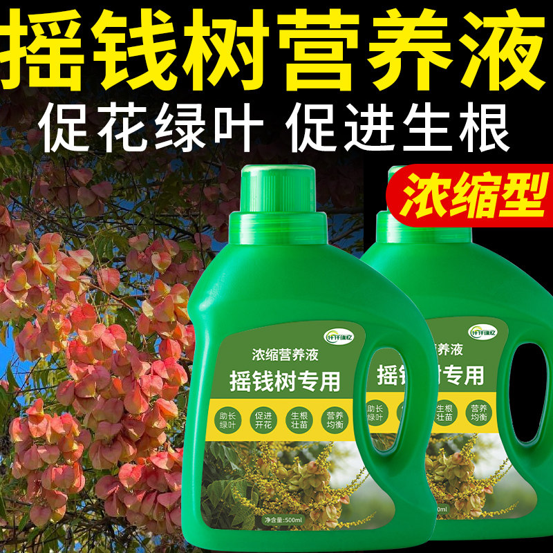 摇钱树专用肥栾树肥料大夫树复合营养液盆栽盆景观叶植物开花绿植