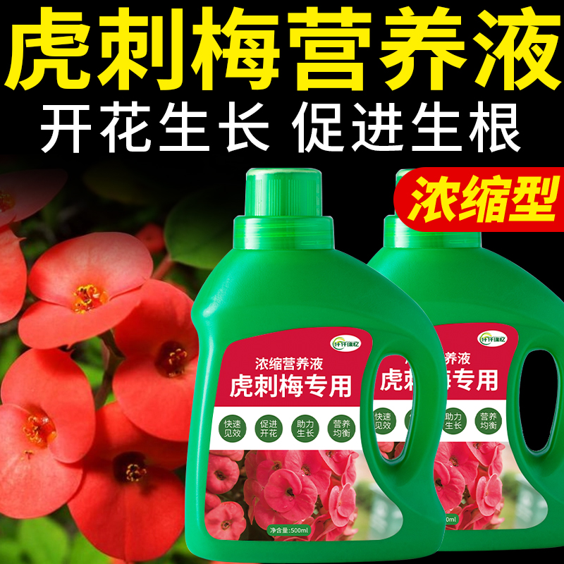 虎刺梅专用肥铁海棠营养液花麒麟肥料番仔刺番仔树复合花肥花卉肥
