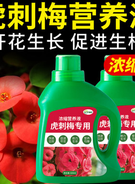 虎刺梅专用肥铁海棠营养液花麒麟肥料番仔刺番仔树复合花肥花卉肥