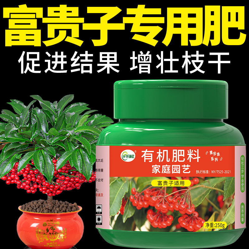 富贵子专用肥富贵籽金玉满堂肥料盆栽有机复合氮磷钾颗粒家用绿植,鲜花速递/花卉仿真/绿植园艺,家庭园艺肥料,淘宝优惠券,粉丝福利购,淘宝优惠卷
