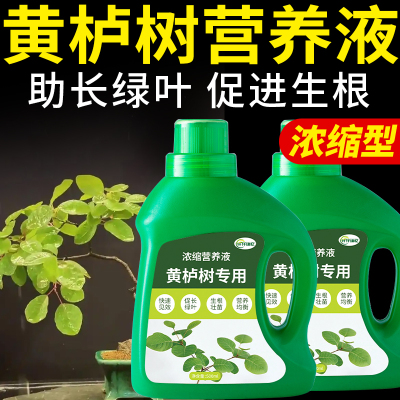 黄栌树专用肥红叶黄栌肥料复合浓缩营养液黄道栌盆景绿植植物花肥