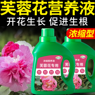 芙蓉花专用肥花卉绿植养花植物复合肥料释木莲盆栽营养液园艺花肥