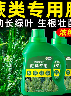 蕨类植物营养液铁线蕨肥料霸王绝专用肥鹿角蕨狼尾蕨水培盆栽绿植