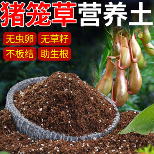 猪笼草专用土盆栽园艺营养土捕蝇草食虫草绿植食虫植物有机土壤