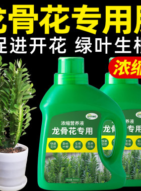 龙骨花专用肥三角柱肥料营养液室内客厅盆栽绿植物有机颗粒缓释肥