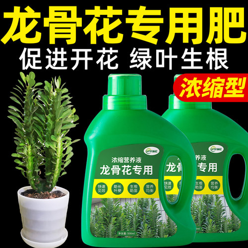 龙骨花专用肥三角柱肥料营养液室内客厅盆栽绿植物有机颗粒缓释肥