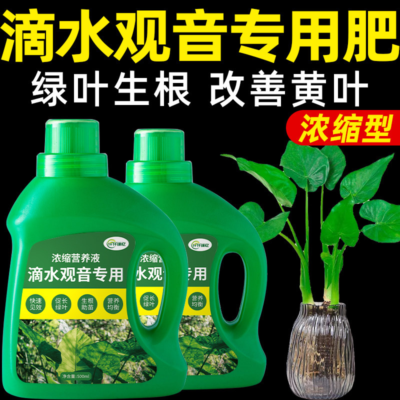 滴水观音肥料绿植专用肥植物营养液海芋复合有机缓释家庭园艺盆栽