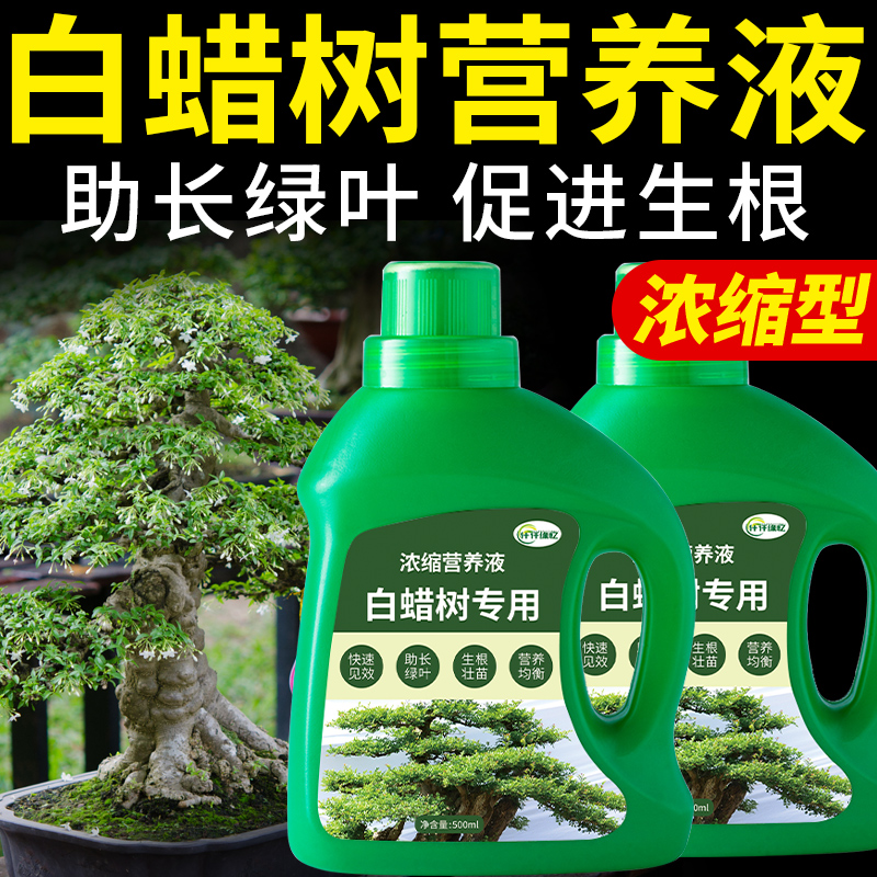 白蜡专用肥白蜡树肥料青榔木浓缩复合营养液白荆树有机肥盆景盆栽