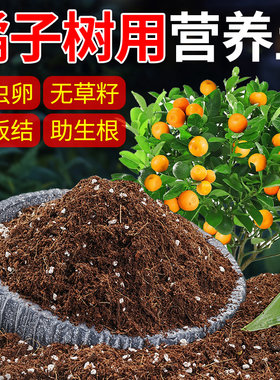 桔子树专用土橘子树营养土金桔柑橘沃柑果树花土有机种植泥炭土壤