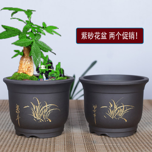 紫砂花盆简约透气养根
