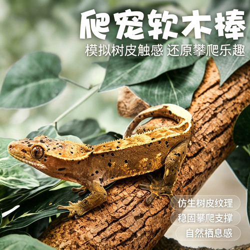 守宫睫角软木棒爬宠造景可裁剪