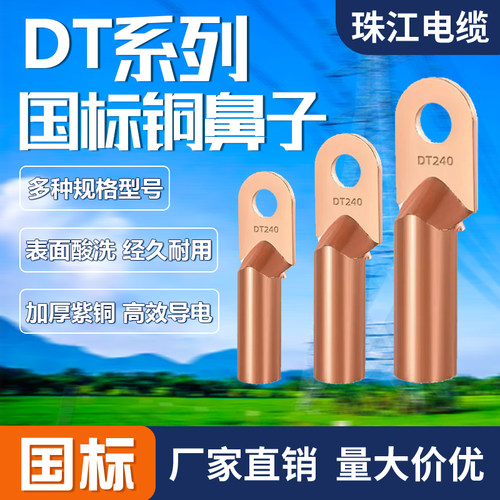 国标接线端子铜鼻子接线端子