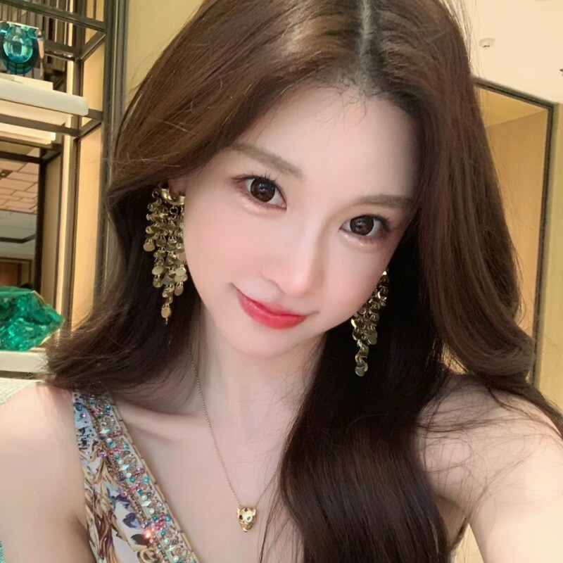 贵气千金 小众设计高级感轻奢2024新款潮耳钉女夸张个性亮片耳环