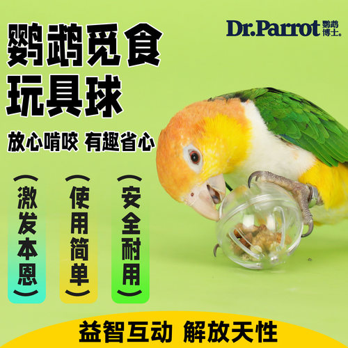 鹦鹉益智觅食趣味玩具球解闷自嗨