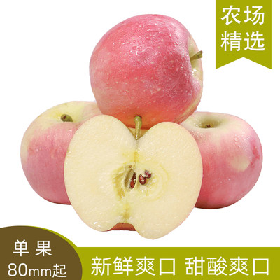 【芭芭农场】正宗红富士苹果2.5斤装80mm+