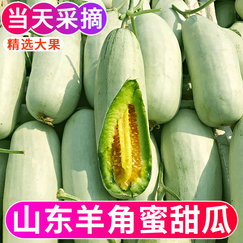 山东羊角蜜甜瓜5斤水果新鲜当季整箱包邮小密瓜香瓜蜜瓜羊角脆