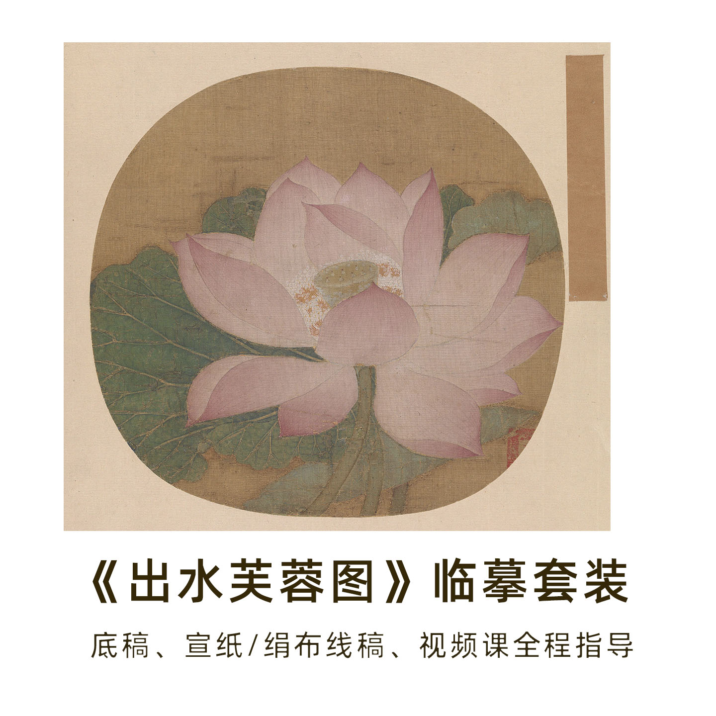 出水芙蓉图临摹套装白描底稿宣纸绢布画稿工笔简沥郦宫扇视频教程