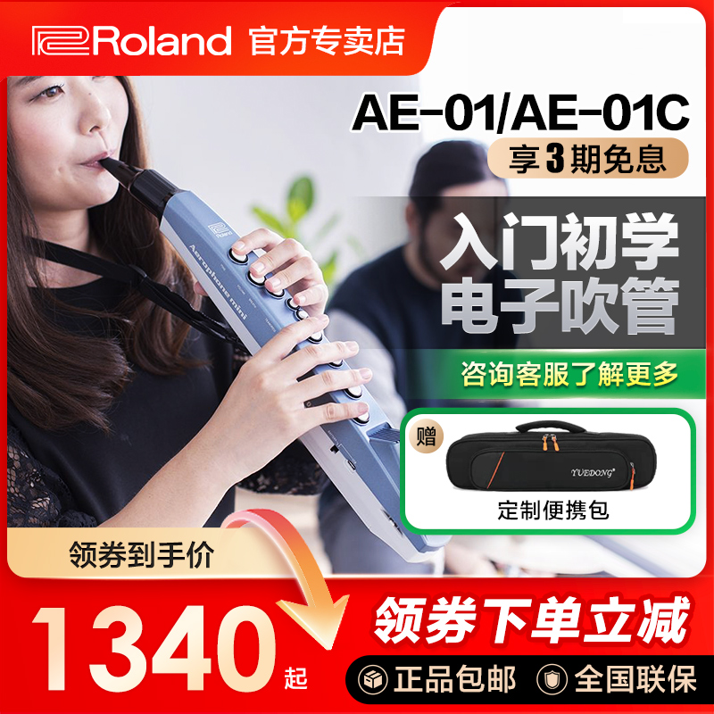 Roland/罗兰电吹管顺丰包邮初学