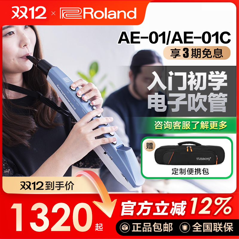 Roland/罗兰电吹管顺丰包邮初学