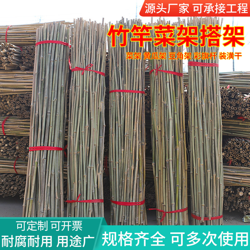 种菜棚架竹竿子菜园搭架各种蔬菜架丝瓜架黄瓜架豆角架番茄架爬藤