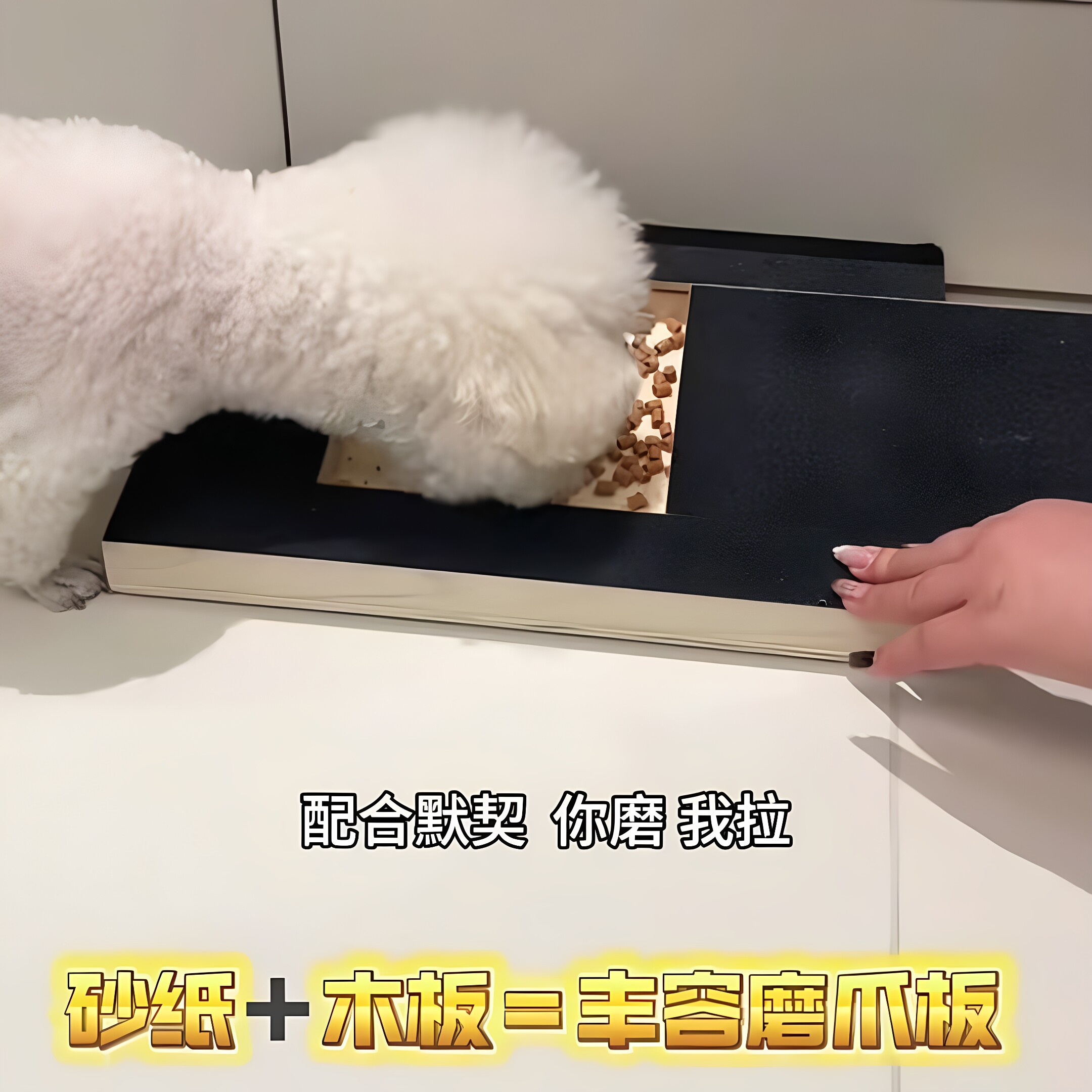 木质可抽拉狗狗磨爪板藏食盒