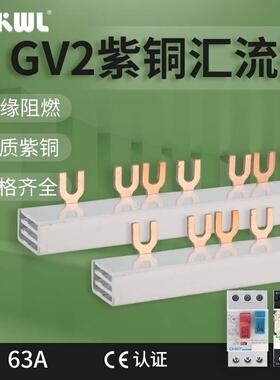 GV2电动机断路器汇流排3P紫铜排间距45mm马达保护器三相快速连新