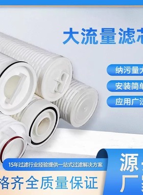 大流量滤芯伊顿滤芯EATON CLPO-10-P02MAX-04X颇尔大流量滤芯