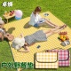 野餐垫防潮垫加厚户外地垫便携户外露营野炊防水春游帐篷草坪坐垫