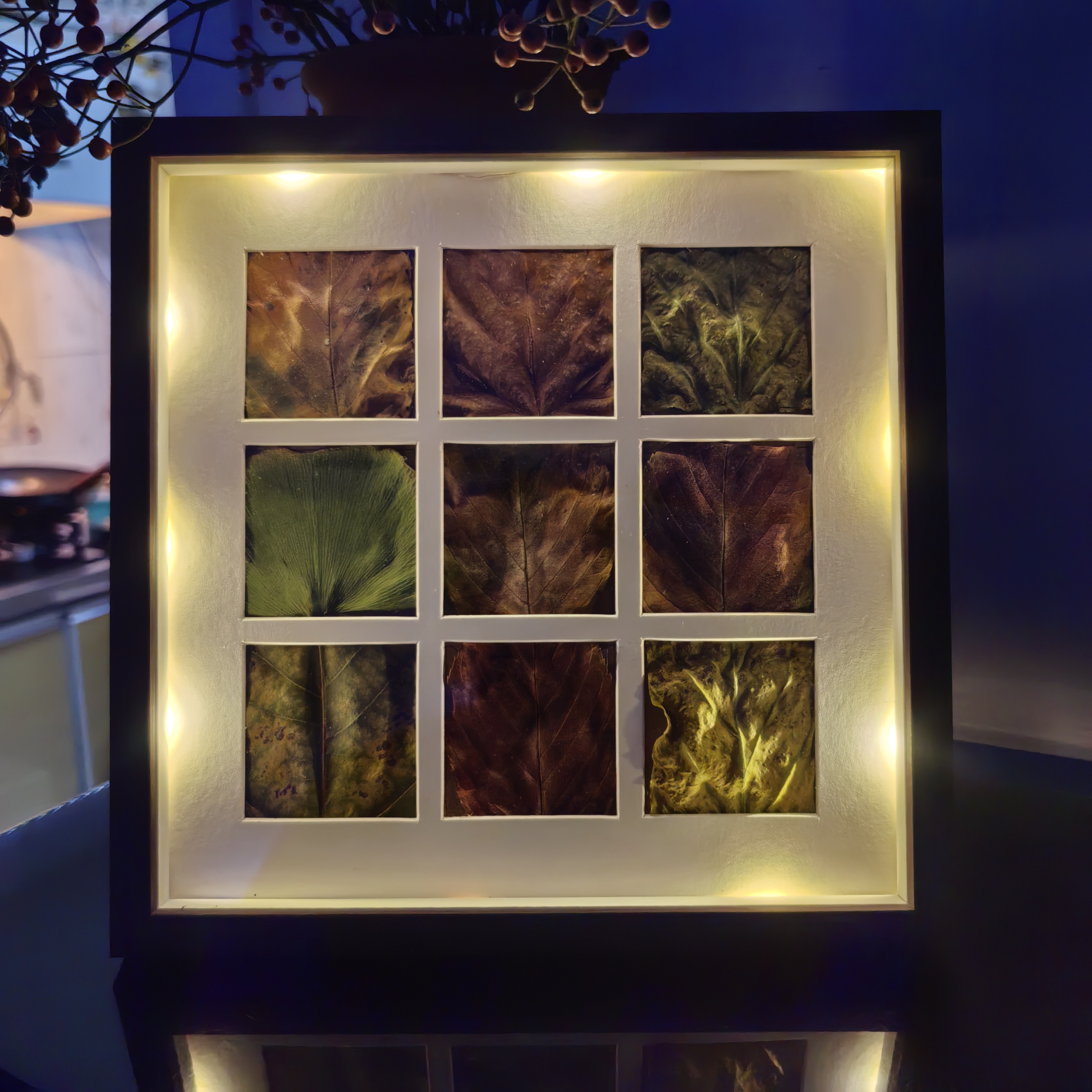 落叶相框9宫格diy手工收集框树叶标本叶子相框