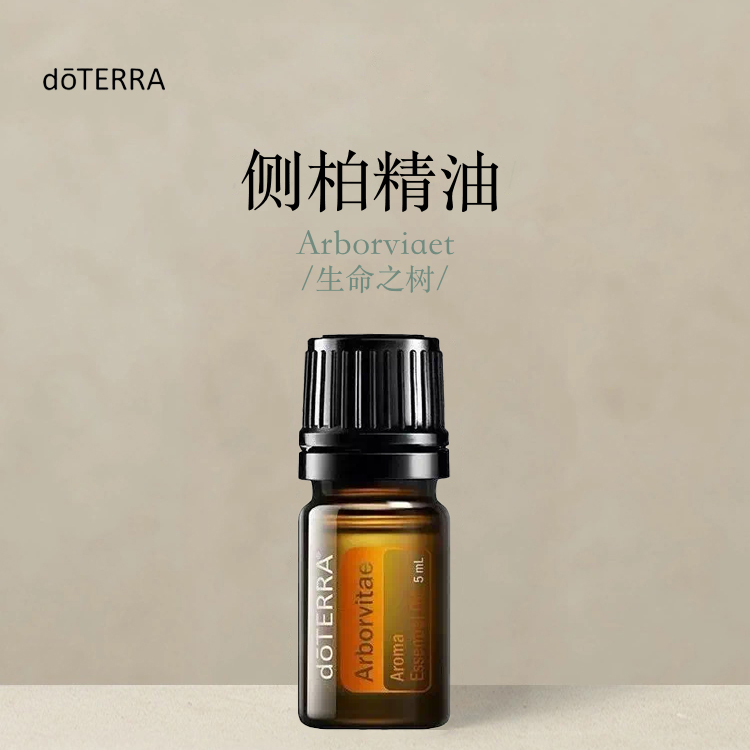 多特瑞 侧柏单方精油5ml官网doterra正品按摩滋养皮肤涂抹保湿