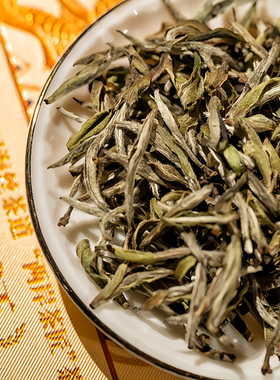 长缨在手.茶王银针丁正祺2023年鼎正白茶荒野精挑银针五千一斤