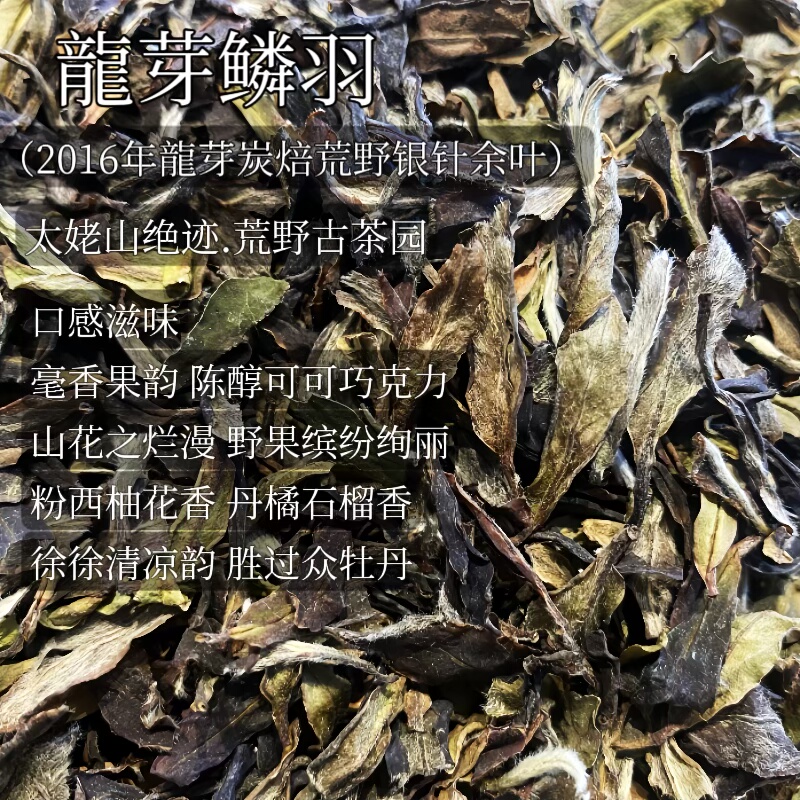 太姥龍鳞.2016年太姥山龍芽野生炭焙头采银针小余叶口感神似银针