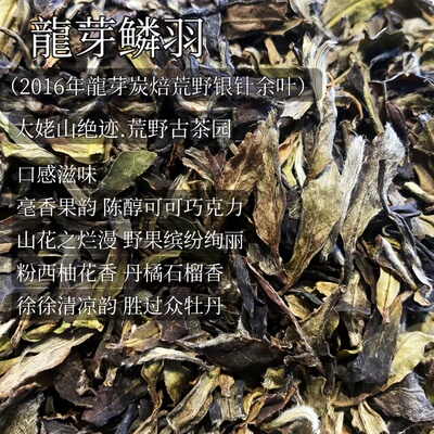 太姥龍鳞.2016年太姥山龍芽野生炭焙头采银针小余叶口感神似银针