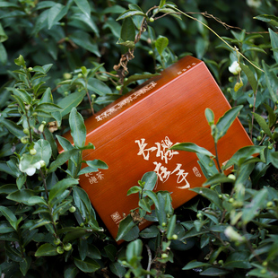 长缨在手.2007年小白野梗春贡江绍彼周仓岭野茶鲜活灵野芝陈蜜药