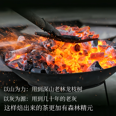 雪舞香山.2019年磻溪荒野华茶1号华茶2号混采头采炭焙牡丹王