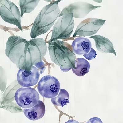 紫芽野王.2023年野蓝莓甜天岩尖群体变异野茶松压小饼