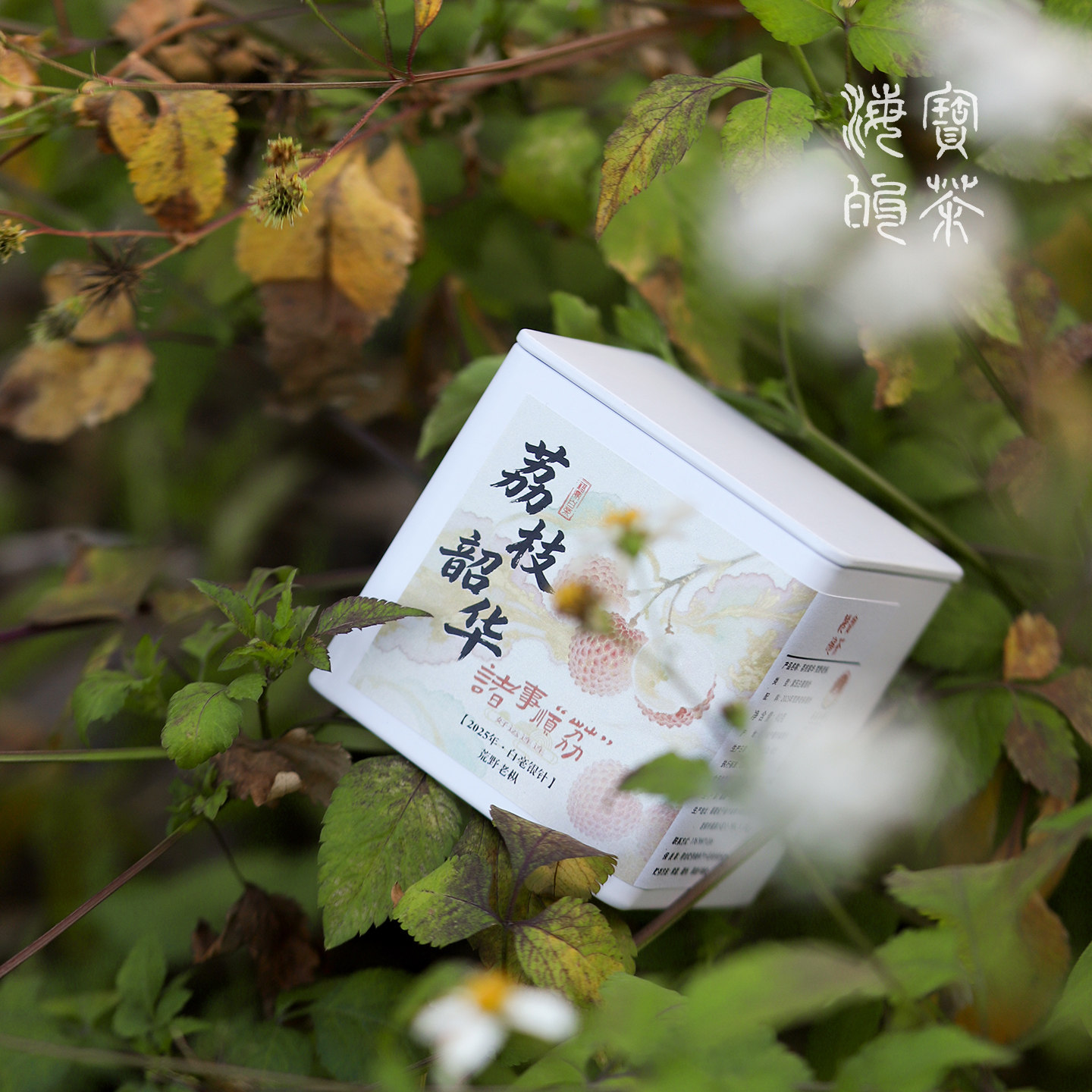 荔枝韶华.2025年福鼎白茶荒野头采老枞松压银针荔枝果肉甜味,茶,白毫银针,淘宝优惠券,粉丝福利购,淘宝优惠卷