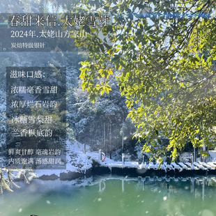 春甜来信.2024年太姥山炭焙特级雪后白毫银针糯叽叽毫香岩韵