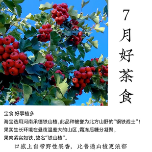 宝食.7月好事楂堆 河南承德铁山楂比普通山楂更有山野味茶零食