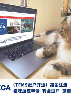 TICA血统证书 TICA猫证 TICA证书 TICA协会 宠物猫证书 Fife猫证