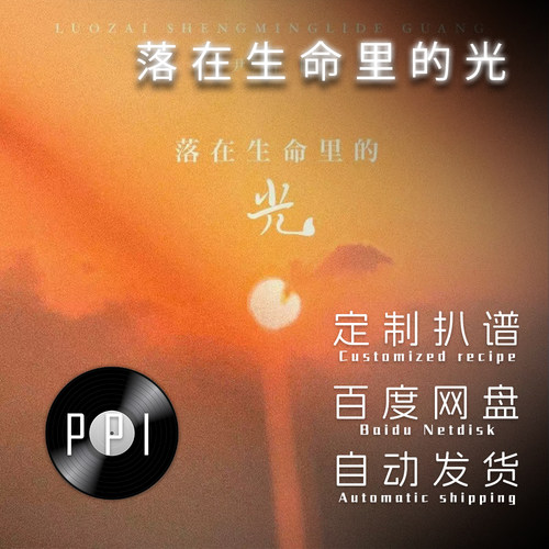 落在生命里的光 萨克斯谱单簧管长笛小提琴扒谱服务