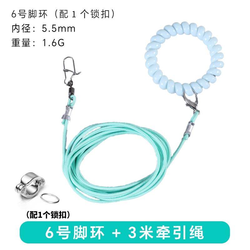 鹦鹉牵引绳虎皮放飞绳小鸟专用超轻不伤脚外出绳玄凤牡丹遛鸟神器,宠物/宠物食品及用品,鸟用放飞绳,淘宝优惠券,粉丝福利购,淘宝优惠卷