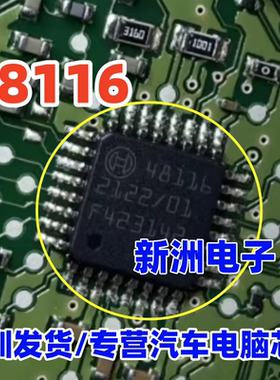 48116 汽车电脑板芯片 全新 现货可直拍
