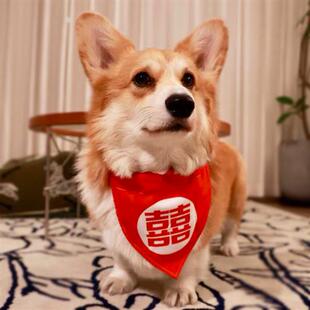 红色新年双喜字结婚狗狗猫咪口水巾宠物三角巾围脖围巾大型犬金毛