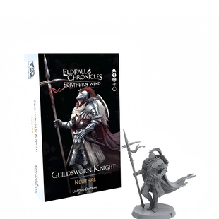 【桌游乱炖】Eldfall Chronicles NorthernWind GuildswornKnight