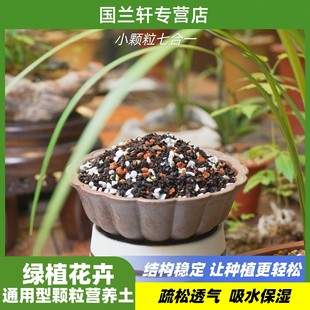 6毫米小颗粒兰花蝴蝶兰君子兰多肉植物多用途营养土