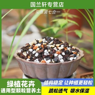 实惠装养兰七合一兰花专用土蝴蝶兰颗粒植料营养土