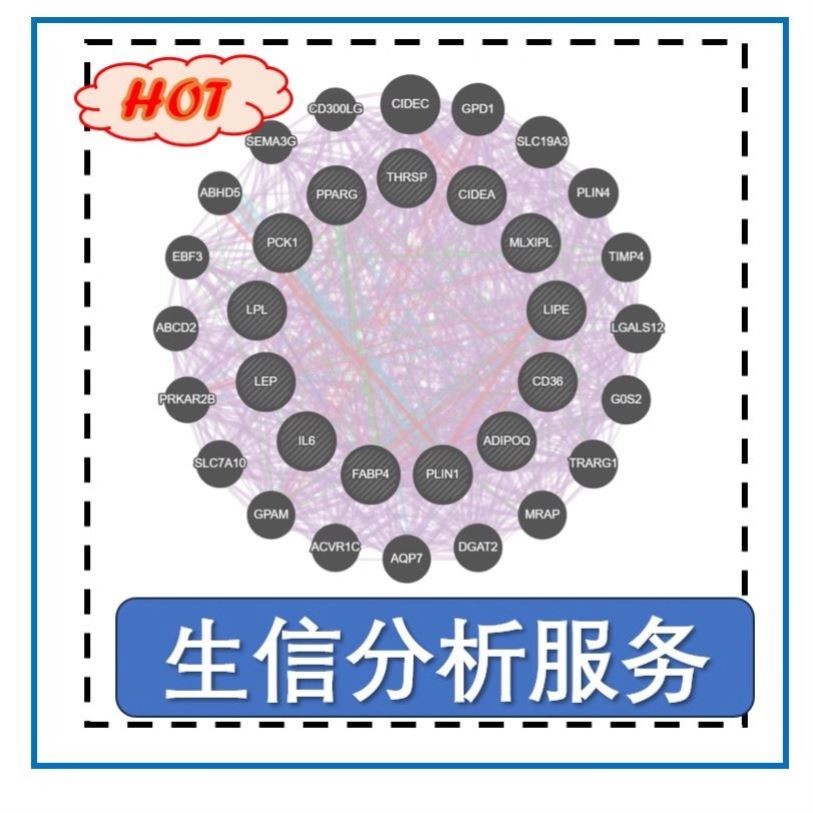 生信分析服务网络药理学代做TCMSP GO KEGG cytoscape 分子对接