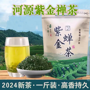2025新茶广东河源特产紫金茶蝉茶绿茶浓香型500g虫咬茶蜜味龙窝